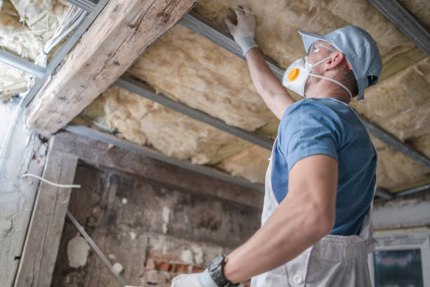 Best Cellulose Insulation in Unionville, MO