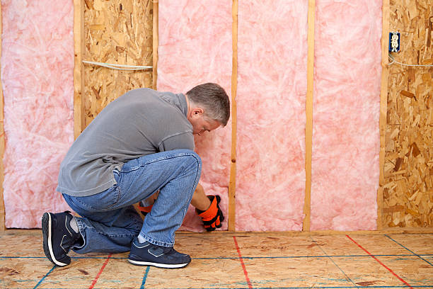 Best DIY Insulation Kits and Guidance in Unionville, MO